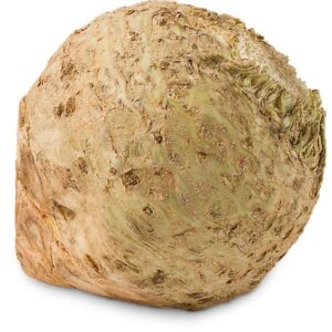 Celery Root