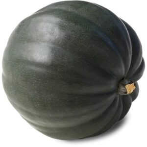 Green Acorn Squash