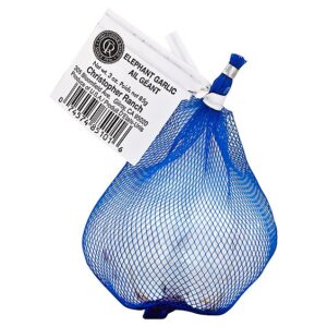 Elephant Garlic - Each