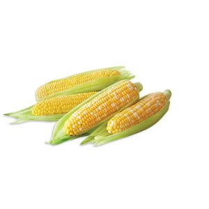 Corn Yellow - 4 Count