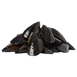 Eastern Black Mussels Fresh Service Case - 1.5 Lb