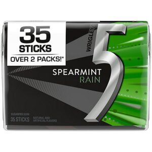 5 Gum Spearmint Rain Sugar Free Chewing Gum Pack - 35 Count