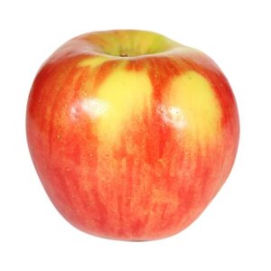 Autumn Glory Apple