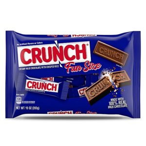 CRUNCH Milk Chocolate and Crisped Rice Fun Size Individually Wrapped Candy Bars - 10 Oz