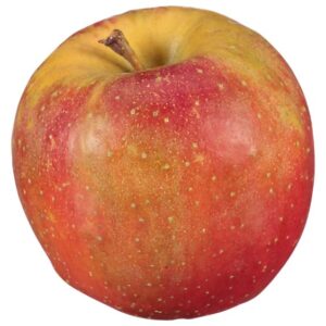 Evercrisp Apple