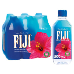 FIJI Natural Artesian Bottled Water - 6-16.9 Fl. Oz.