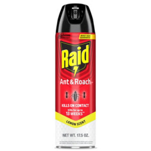 Raid Lemon Scent Ant And Roach Killer Insecticide Aerosol Spray - 17.5 Oz
