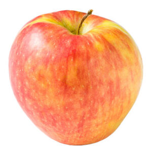 Honeycrisp Apple