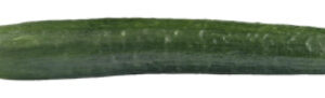 Cucumber