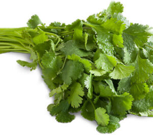 Cilantro 1 Bunch
