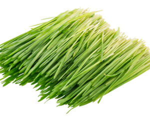 Wheat Grass Organic Prepacked - 4 Oz