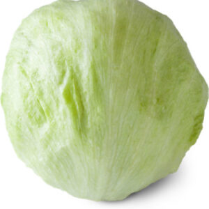 Iceberg Lettuce