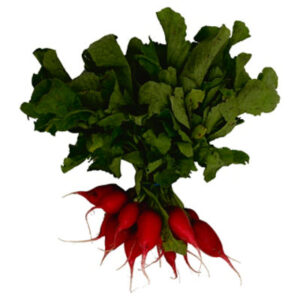Red Radishes 1 Bunch
