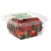 Organic Strawberries Prepacked - 8.8 Oz