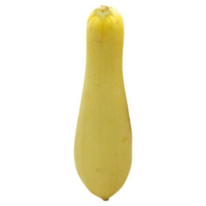 Organic Yellow Crookneck Squash