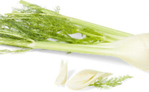 Organic Fennel