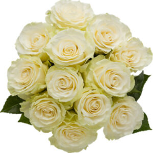 Overjoyed Boutique Rose Premium White - 12 Stem