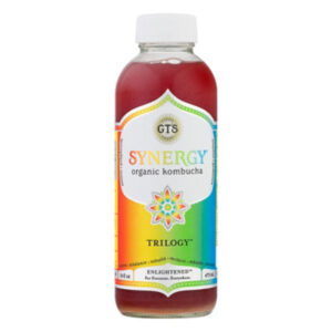 Synergy The Real Kombucha Trilogy - 16 Fl. Oz.