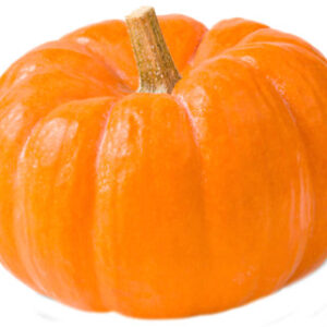 Orange Pumpkin Small/Mini - Weight Between 1-2 Lb