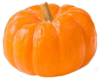 Orange Pumpkin Small/Mini - Weight Between 1-2 Lb