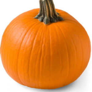 Orange Pie Pumpkin - Weight Between 4-5 Lb