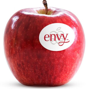 Envy Apple