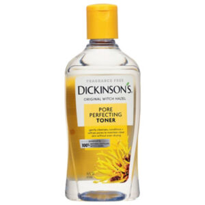 Dickinsons Pore Perfecting Toner Fragrance Free - 16 Fl. Oz.