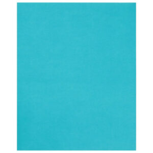 Deluxe Portfolio 2 Pocket - Each