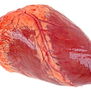 Beef Heart - 1.5 Lb