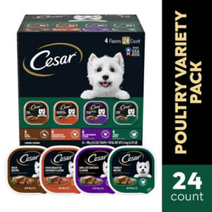 Cesar Classic Loaf in Sauce Poultry Soft Wet Dog Food Variety Pack 24 Count - 3.5 Oz