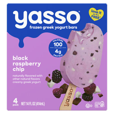 Yasso Frozen Yogurt Greek Bars Black Raspberry Chip - 4-3.5 Fl. Oz.
