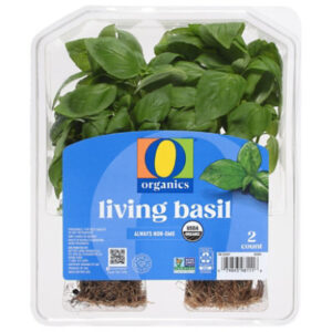 O Organics Living Basil 2 Count