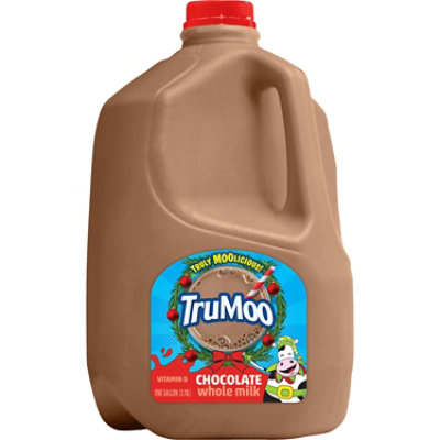 TruMoo Chocolate Whole Milk - 1 Gallon