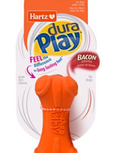 Earth Fri Shampoo Pet Peppermint - 17 Oz