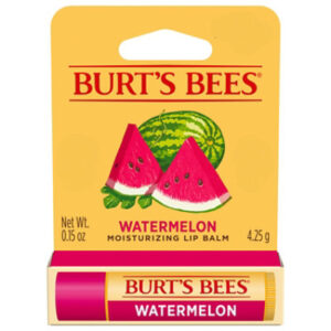 Burt's Bees 100% Natural Origin Moisturizing Lip Balm - Watermelon - 1 Tube