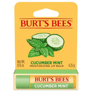 Burt's Bees Cucumber Mint Moisturizing Lip Balm - 1 Count