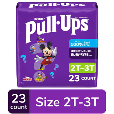 Pull-Ups Potty Training Underwear for Boys Size 2T to 3T - 23 Count