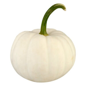 Casper White Ribbed Pumpkin - Each