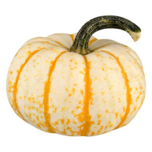 Pumpkins Mini Baby Tiger Striped - Each