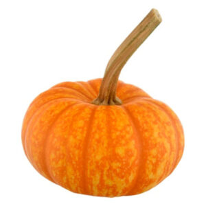 Long Stemmed Sparkler Pumpkin Ornamental - Each