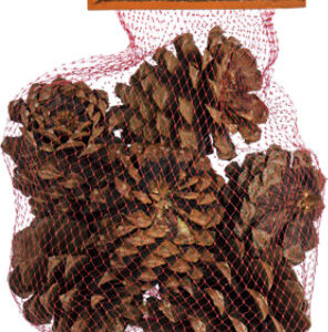Pumpkin Spice Pine Cones - Each