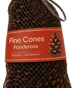 Overjoyed Boutique Cinnamon Scented Pinecones 9 Count - Each