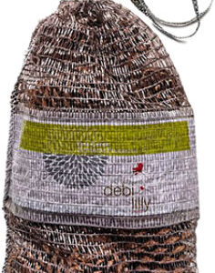 Overjoyed Boutique Pinecones Vanilla Scented - Each