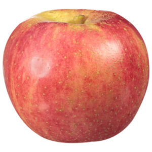 Wild Twist Apple