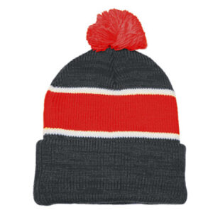 High School Premium Beanie - EA