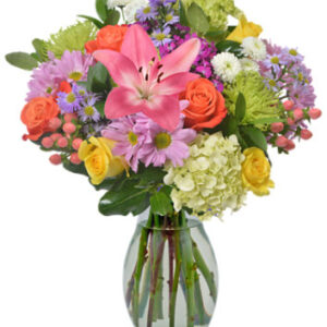 Designers Choice Mixed Arrangement 39.99 - Each