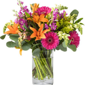Designers Choice Mixed Arrangement 49.99 - Each