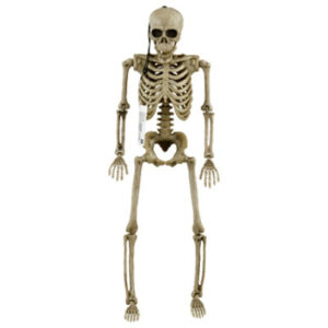 Fun World Posable Skeleton 12 piece ?Each