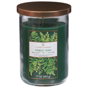 Candle Essentials Scented Jar Candle Forest Fern - 17 Oz