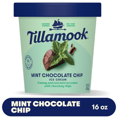 Tillamook Mint Chocolate Chip Ice Cream - 16 Oz